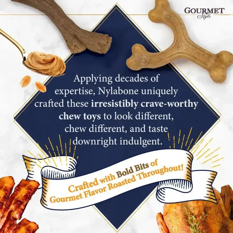 Nylabone Gourmet Style Strong Chew Wishbone Dog Toy Wishbone, - Talis Us