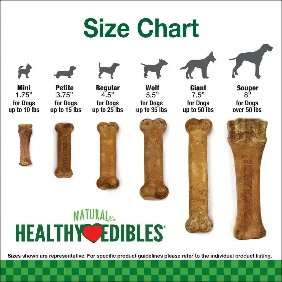 Nylabone Healthy Edibles All - Natural Long Lasting Bacon Flavor Chew Treats - Talis Us