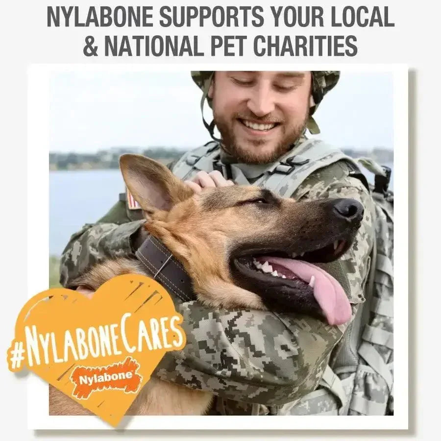 Nylabone Healthy Edibles All - Natural Long Lasting Bacon Flavor Chew Treats - Talis Us
