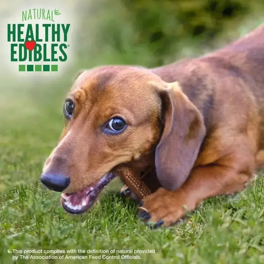 Nylabone Healthy Edibles Meaty Center Natural Dog Treats 12 ct - Talis Us