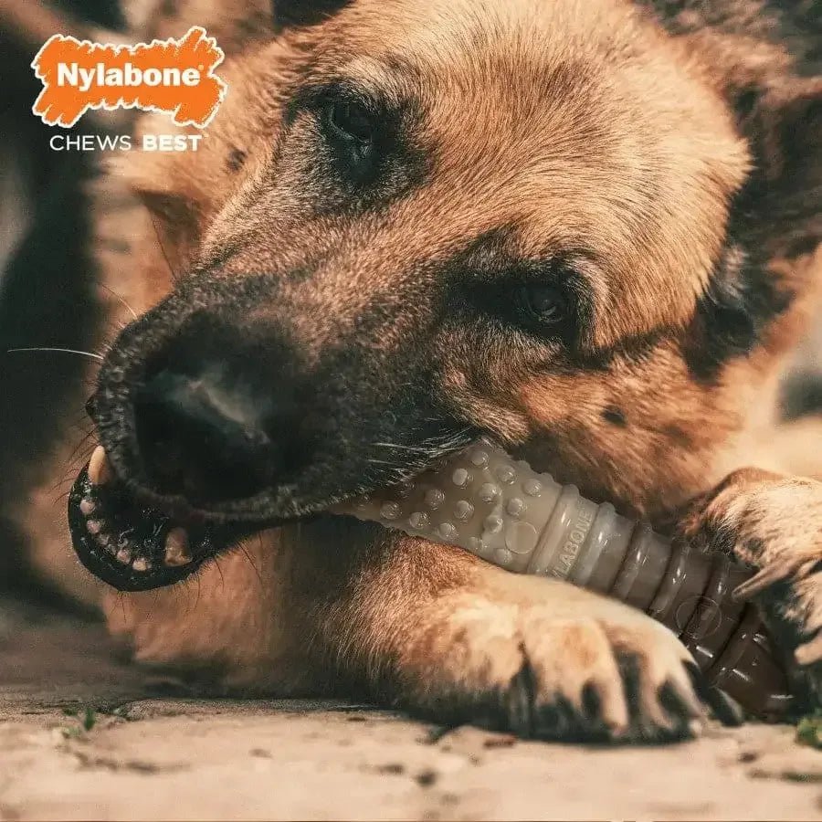 Nylabone Power Chew Camo Dog Toy - Talis Us