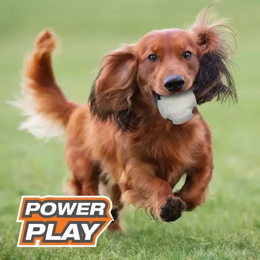 Nylabone Power Play Dog Baseball Gripz - Talis Us