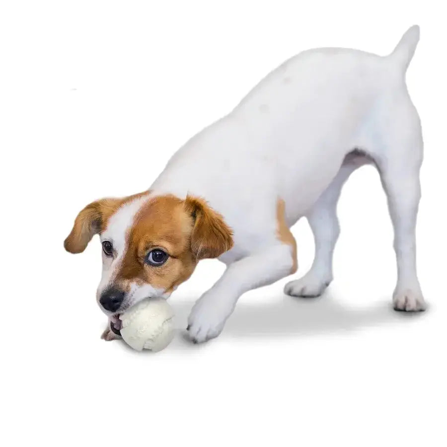 Nylabone Power Play Dog Baseball Gripz Nylabone