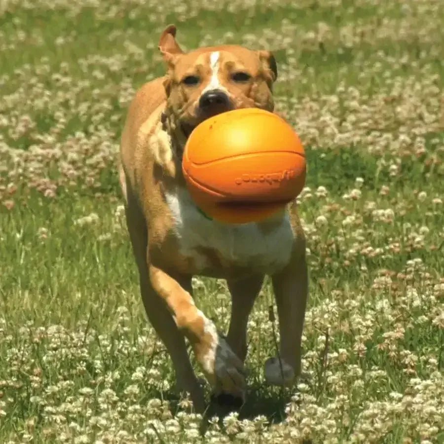 Nylabone Power Play Dog Basketball B - Ball Gripz - Talis Us