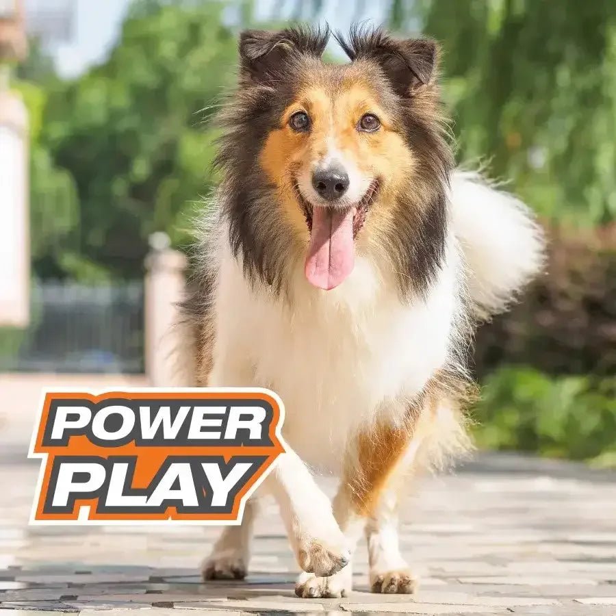 Nylabone Power Play Dog Basketball B - Ball Gripz - Talis Us