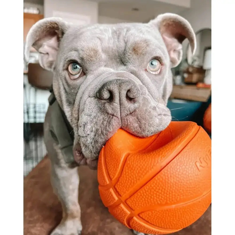 Nylabone Power Play Dog Basketball B-Ball Gripz Nylabone