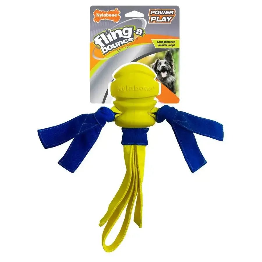 Nylabone Power Play Dog Fetch Toys Fling - a - Bounce - Talis Us