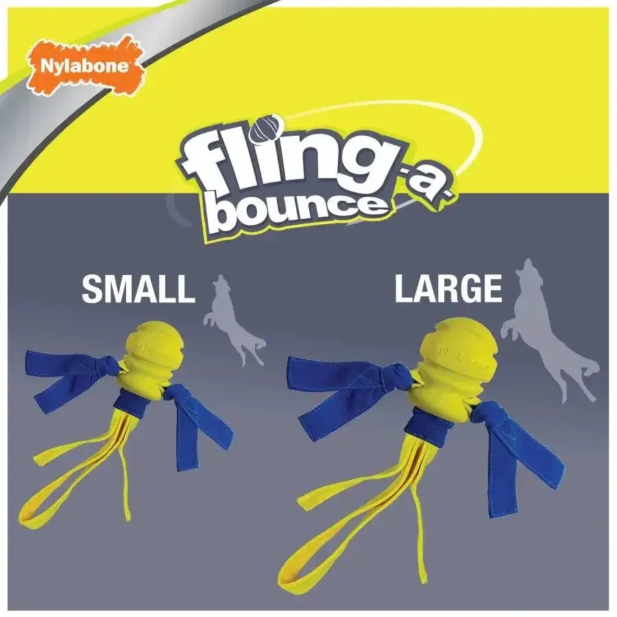 Nylabone Power Play Dog Fetch Toys Fling - a - Bounce - Talis Us