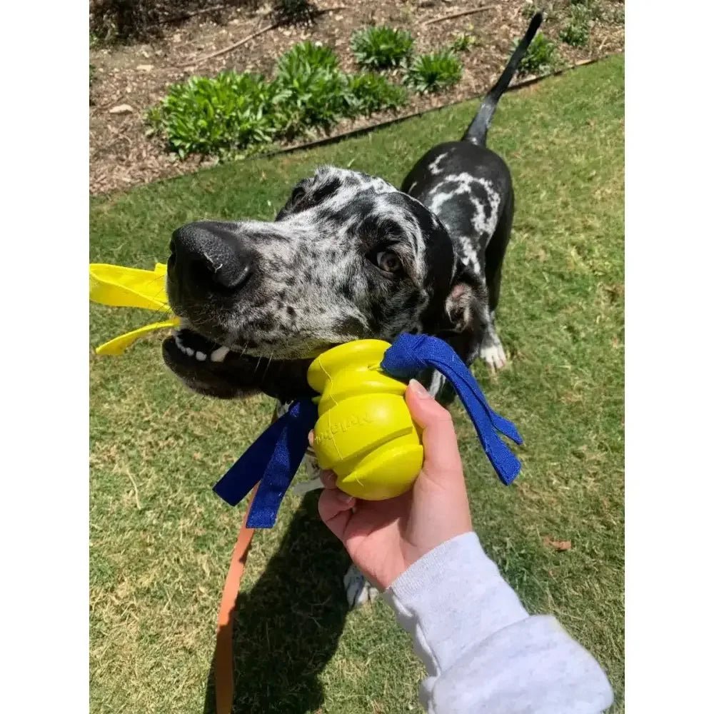 Nylabone Power Play Dog Fetch Toys Fling - a - Bounce - Talis Us