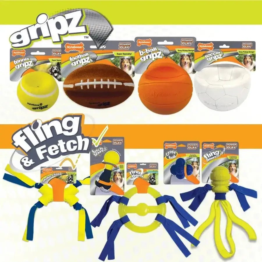 Nylabone Power Play Dog Fetch Toys Fling - a - Bounce - Talis Us