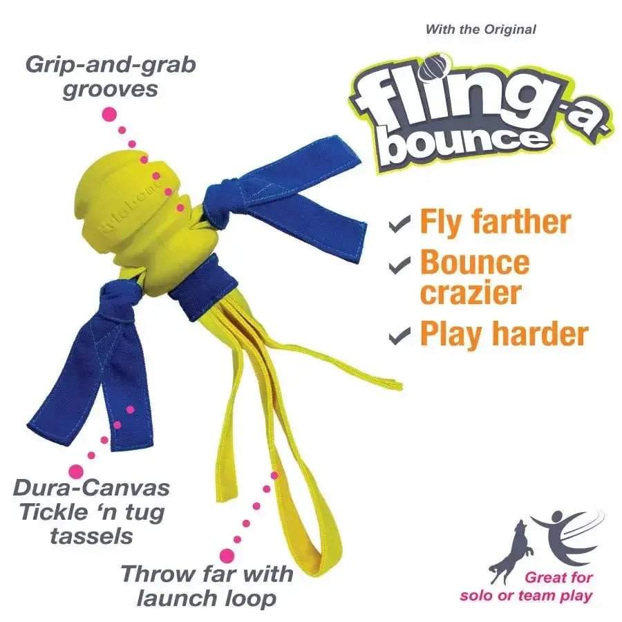 Nylabone Power Play Dog Fetch Toys Fling - a - Bounce - Talis Us