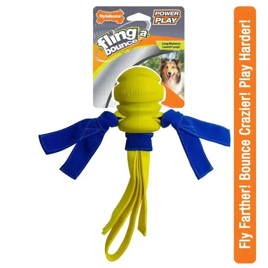 Nylabone Power Play Dog Fetch Toys Fling - a - Bounce - Talis Us