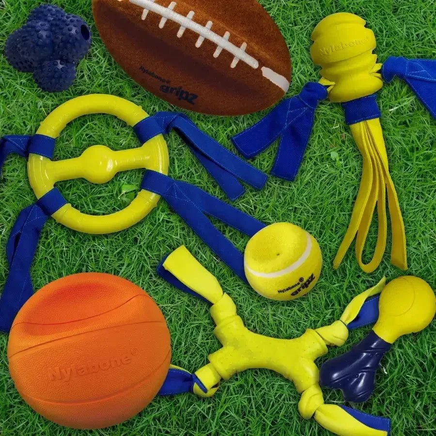 Nylabone Power Play Dog Fetch Toys Fling - a - Bounce - Talis Us