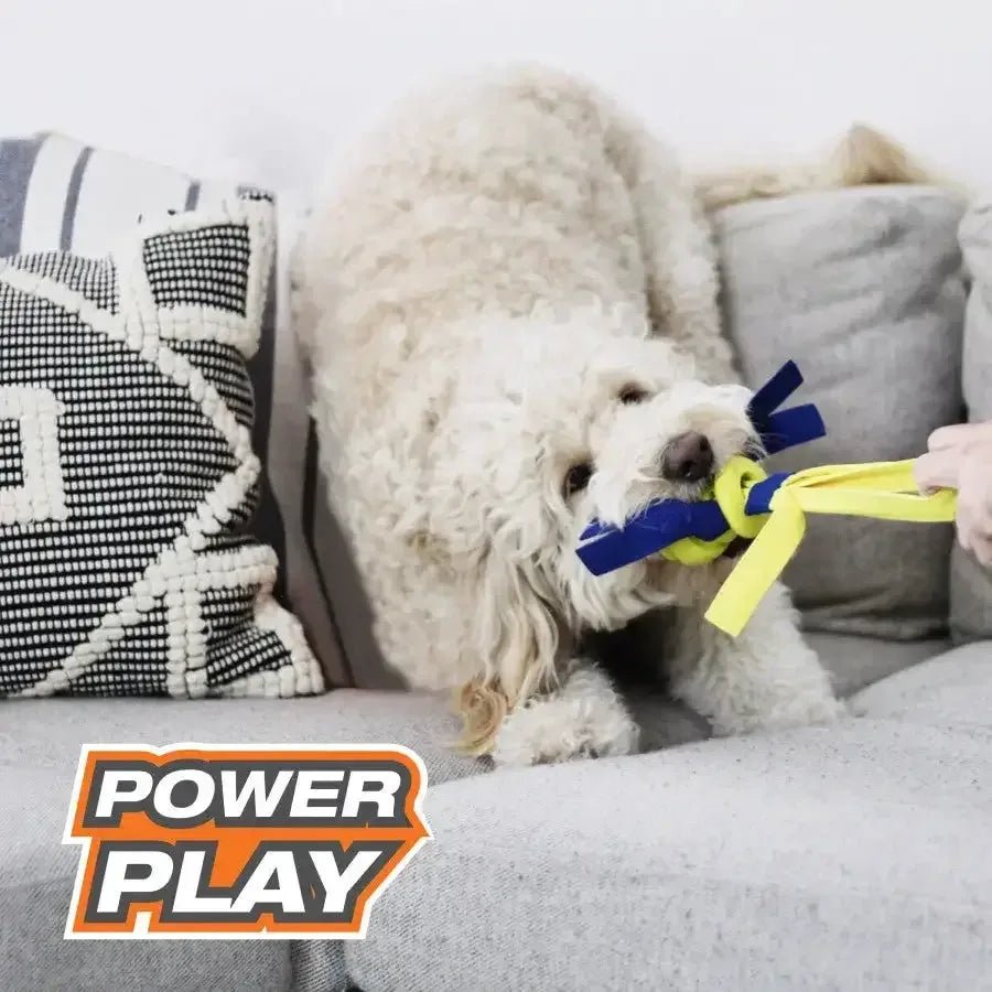 Nylabone Power Play Dog Fetch Toys Fling - a - Bounce - Talis Us