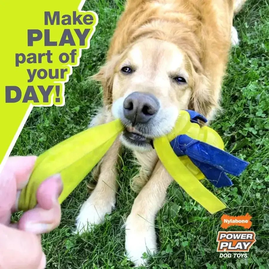 Nylabone Power Play Dog Football Gripz - Talis Us