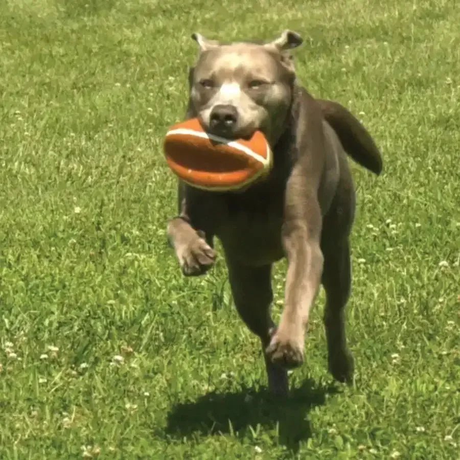 Nylabone Power Play Dog Football Gripz - Talis Us