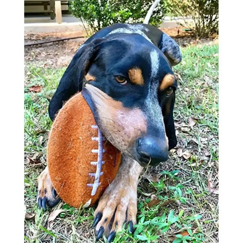 Nylabone Power Play Dog Football Gripz - Talis Us