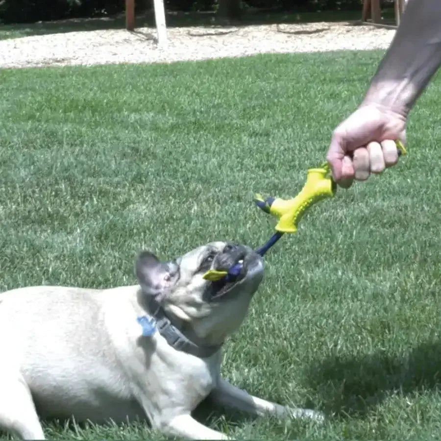 Nylabone Power Play Interactive Dog Toy Shake - a - Toss SMall - Talis Us