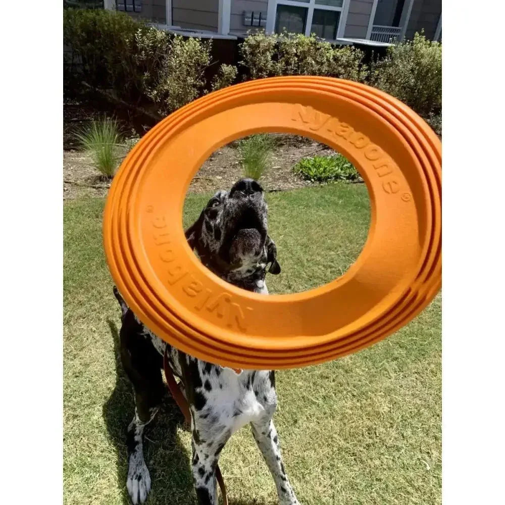 Nylabone Power Play Super Flyer Gripz Disc for Dogs - Talis Us