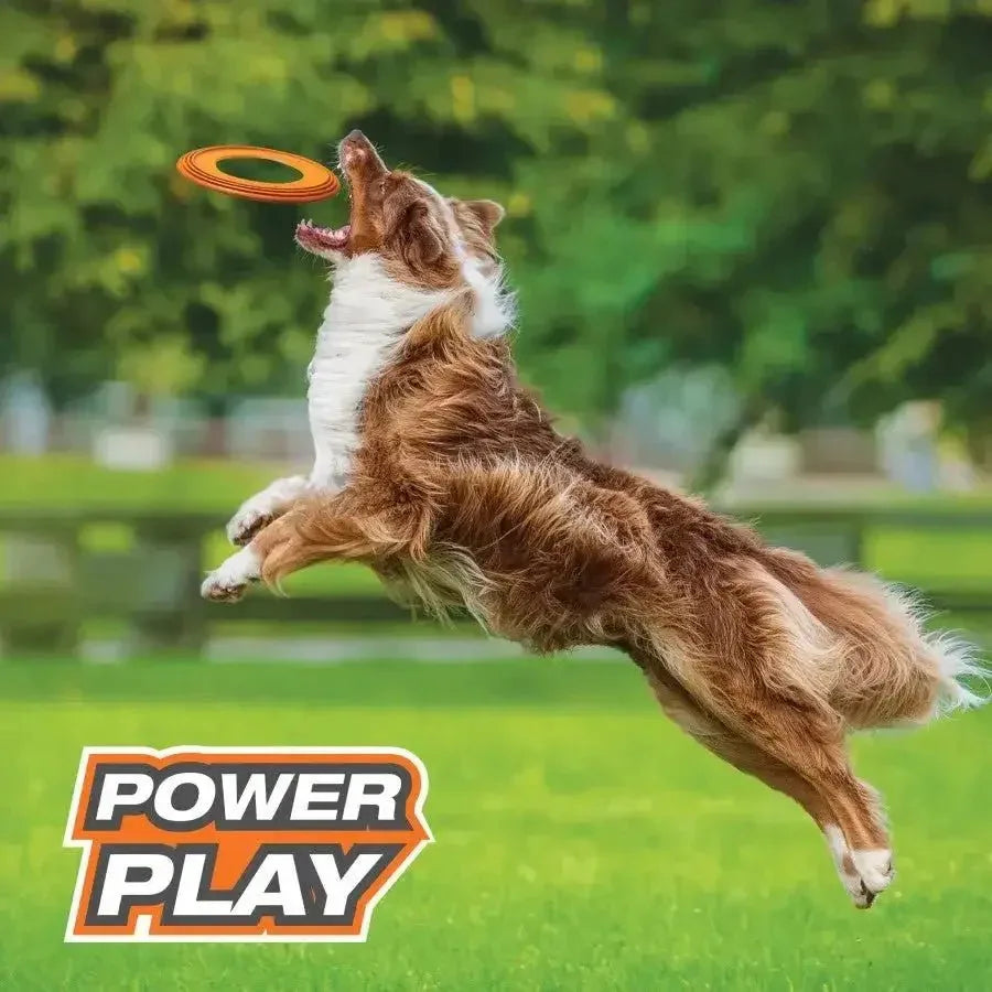 Nylabone Power Play Super Flyer Gripz Disc for Dogs - Talis Us