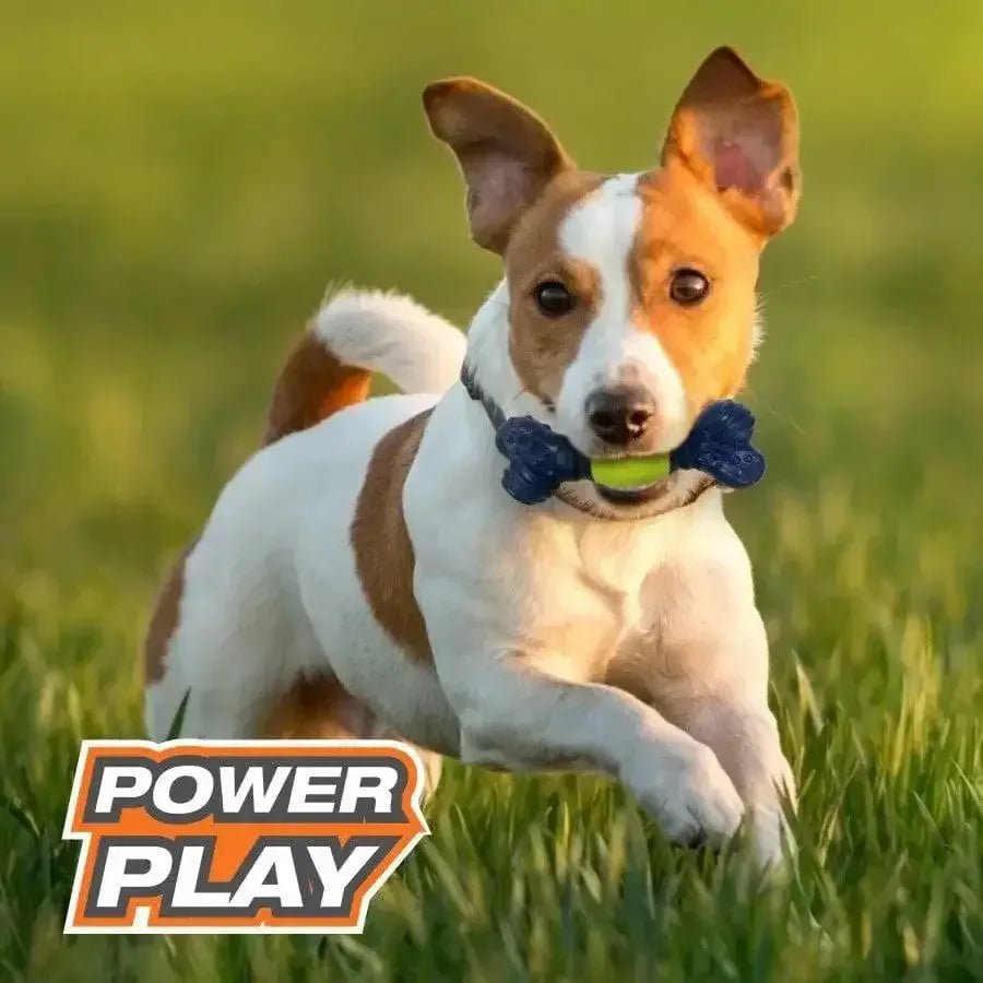 Nylabone Power Play Tennis Play 'n Fetch Interactive Dog Toy Play 'n Fetch - Talis Us