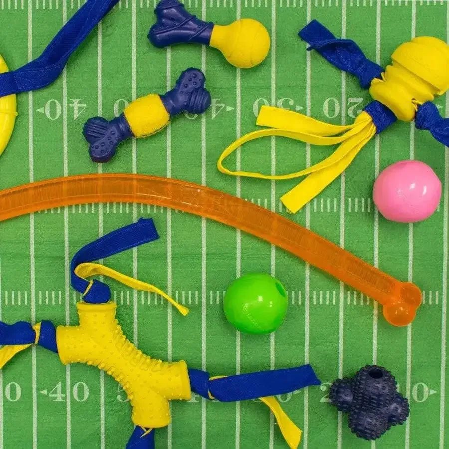 Nylabone Power Play Tennis Play 'n Fetch Interactive Dog Toy Play 'n Fetch - Talis Us