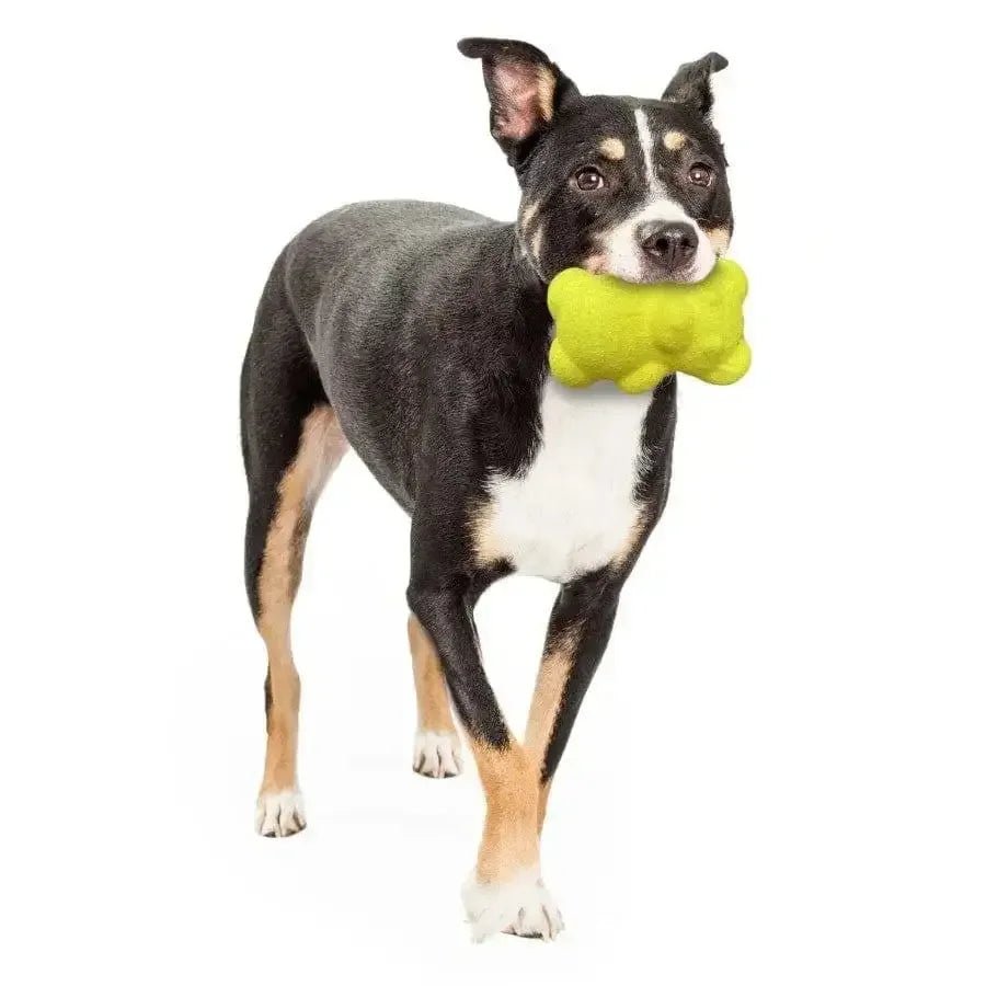 Nylabone Power Play Tennis Teddy Gripz Bear Dog Toy Teddy - Talis Us