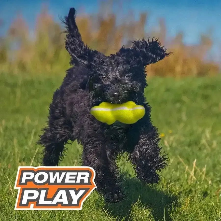 Nylabone Power Play Tennis Teddy Gripz Bear Dog Toy Teddy - Talis Us