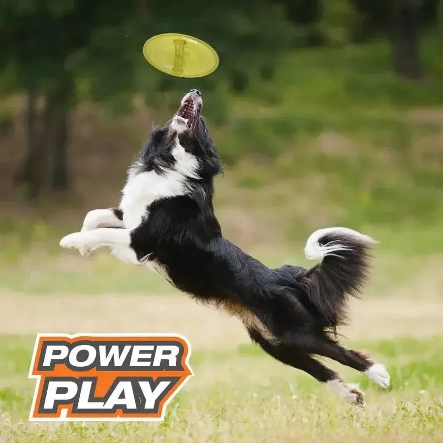Nylabone Power Play Ultra Glider Gripz Dog Flying Disc Ultra Glider - Talis Us