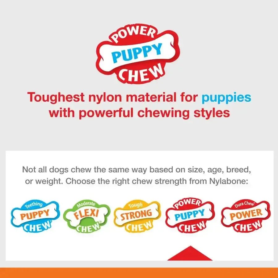 Nylabone Puppy Power Chew Knuckle Bone & Pop - In Puppy Treat Toy Combo - Talis Us