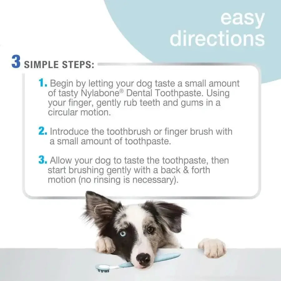 Nylabone® Advanced Oral Care® Tartar Control Toothpaste for Dog 2.5 Oz Nylabone®