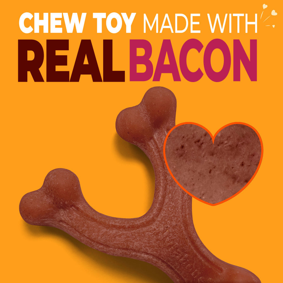 Nylabone strong chew bacon dog toy shaped like a bone, made with real bacon for durable chewing