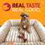 Nylabone strong chew bacon dog toy with a small dog resting on a plush bed
