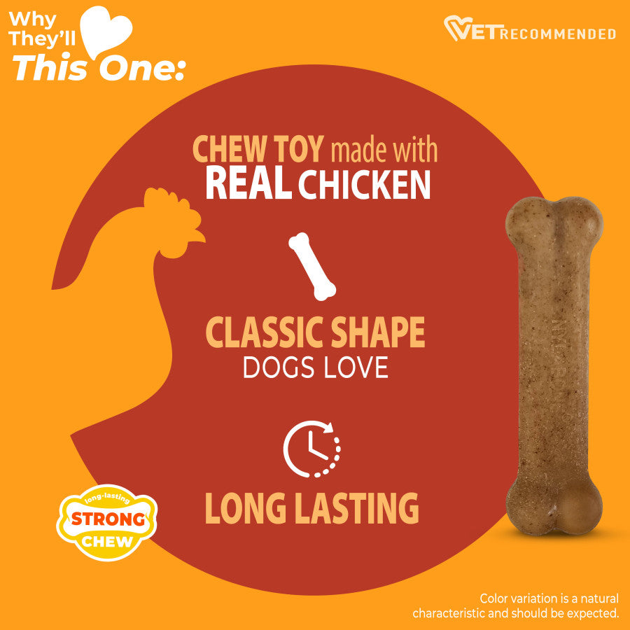 Nylabone strong chew dog toy shaped like a bone, made with real chicken for durability and fun