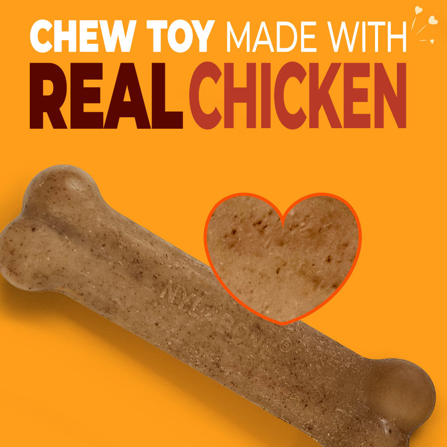 Nylabone strong chew dog toy made with real chicken for durable chewing enjoyment