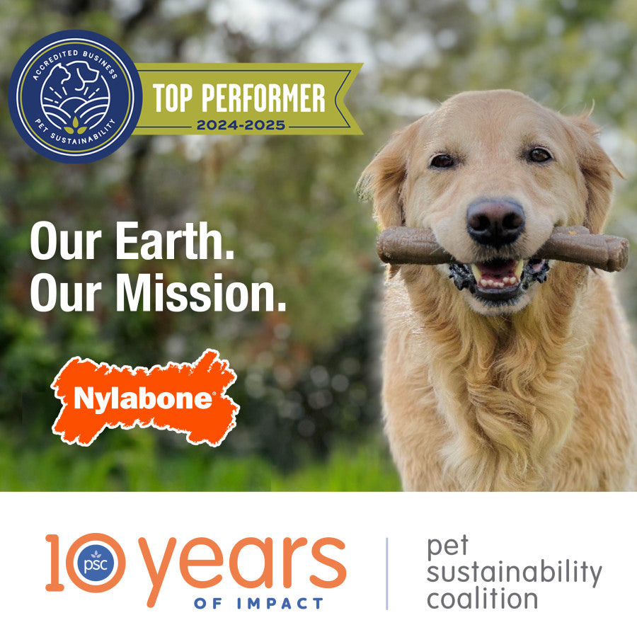 Happy dog holding Nylabone strong chew dog toy, symbolizing play and sustainability