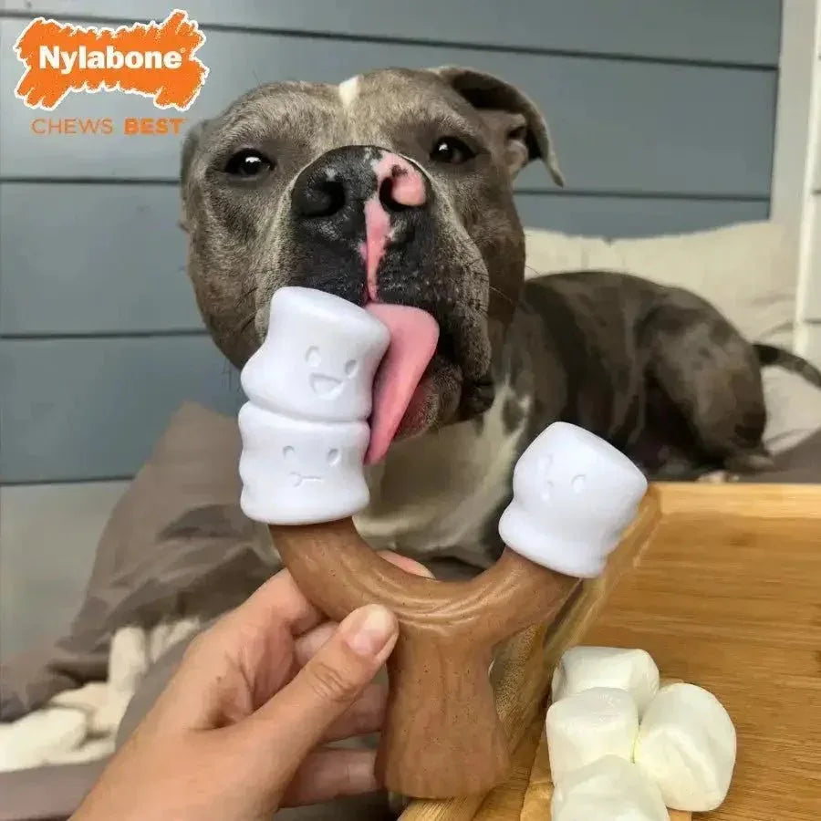 Nylabone Strong Chew Marshmallow Stick Dog Toy - Talis Us