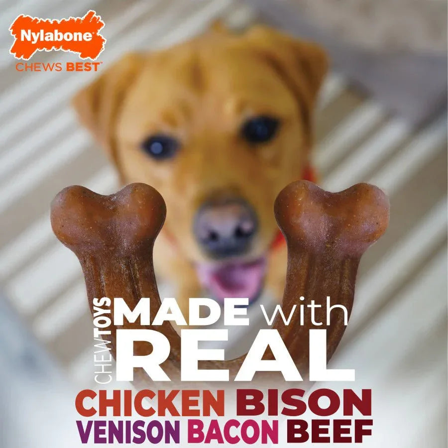 Nylabone Strong Chew Wishbone Real Bacon Dog Chew Toy - Talis Us