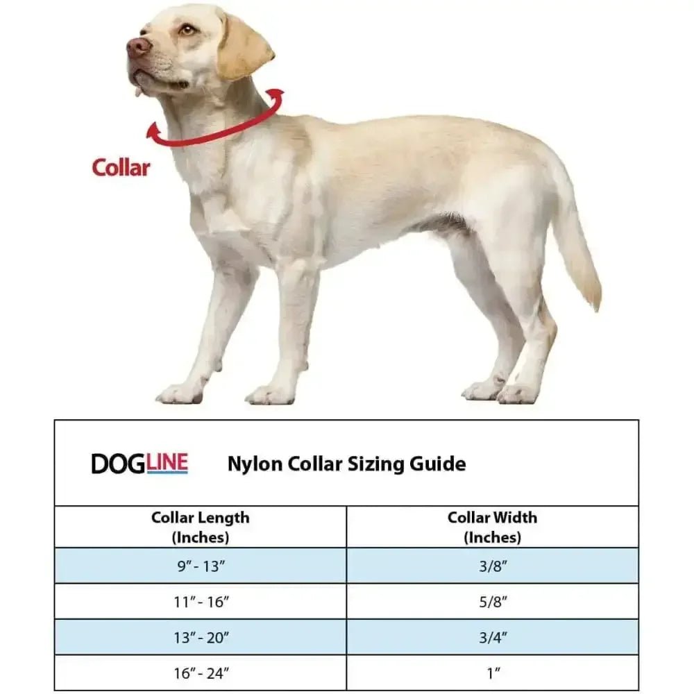 Nylon Flat Dog Collar Adjustable Pet Collars for Puppy Small Medium Large Dogs - Talis Us