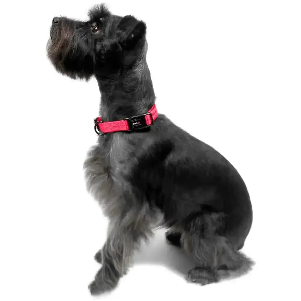 Nylon Flat Dog Collar Adjustable Pet Collars for Puppy Small Medium Large Dogs - Talis Us