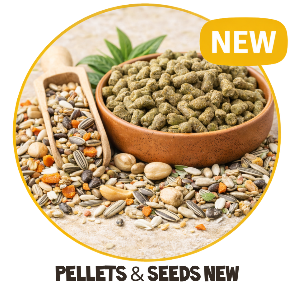 Picture of The Ultimate Snake Diet Guide: What to Feed Your Pet Snake