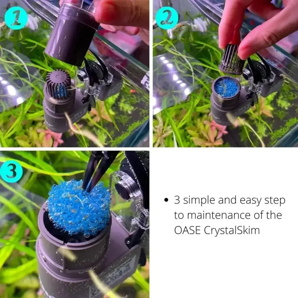 Oase CrystalSkim Surface Aquarium Skimmer - Talis Us