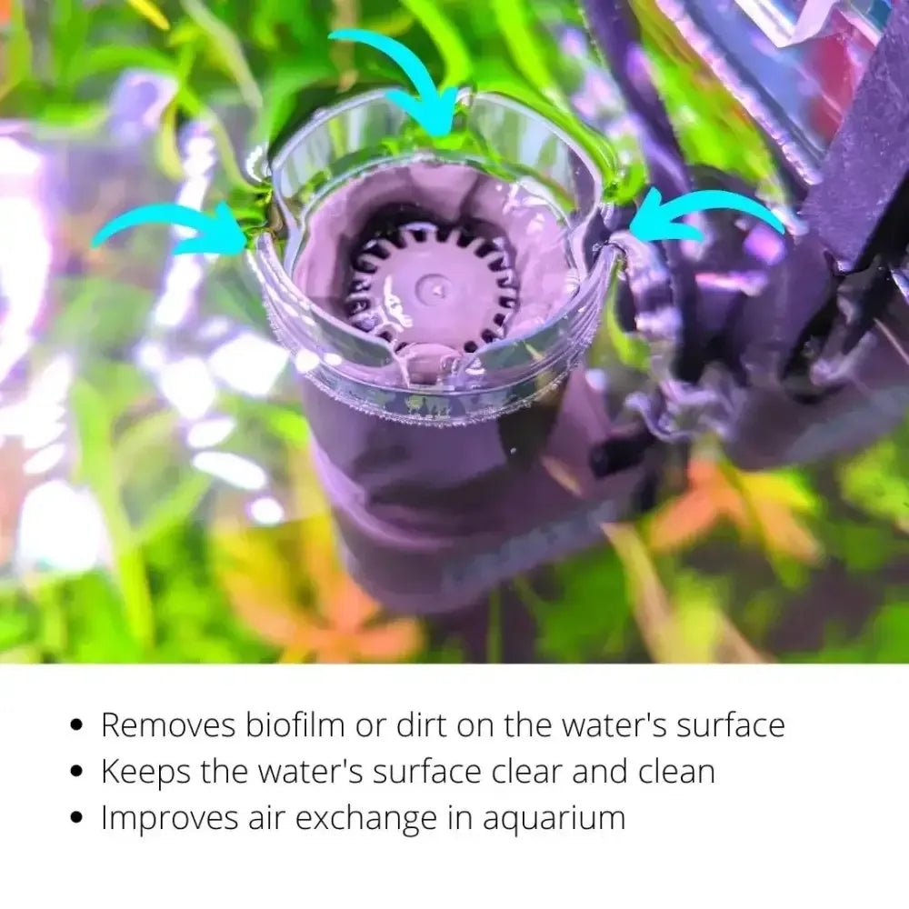 Oase CrystalSkim Surface Aquarium Skimmer - Talis Us