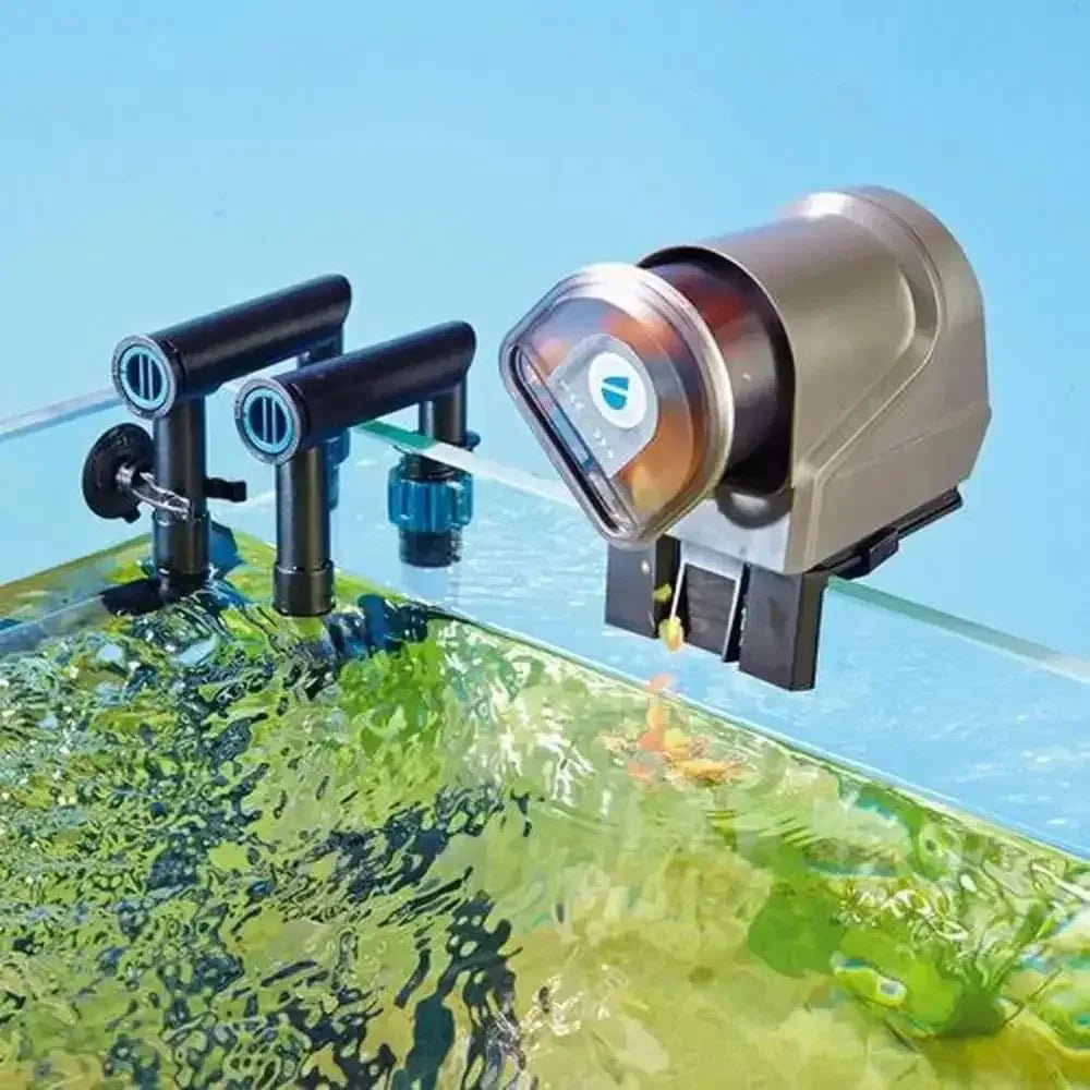 OASE FishGuard Automatic Fish Feeder - Talis Us