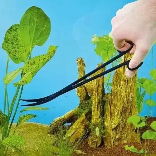 OASE Plant Scissors - Talis Us