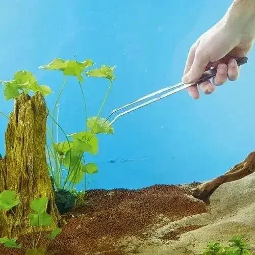 OASE Plant Tweezers - Talis Us