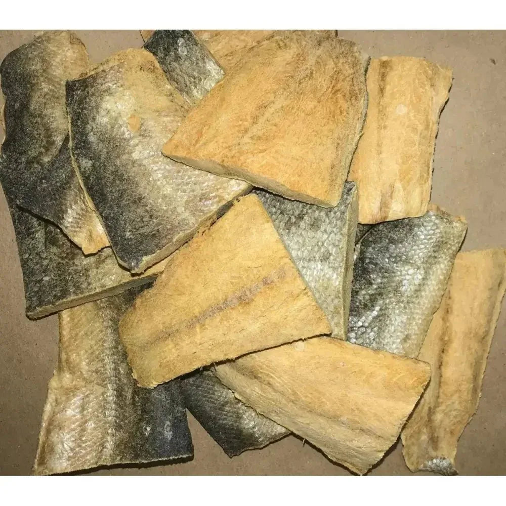 OC Raw Salmon Freeze Dried Dog Treats 3.2oz - Talis Us