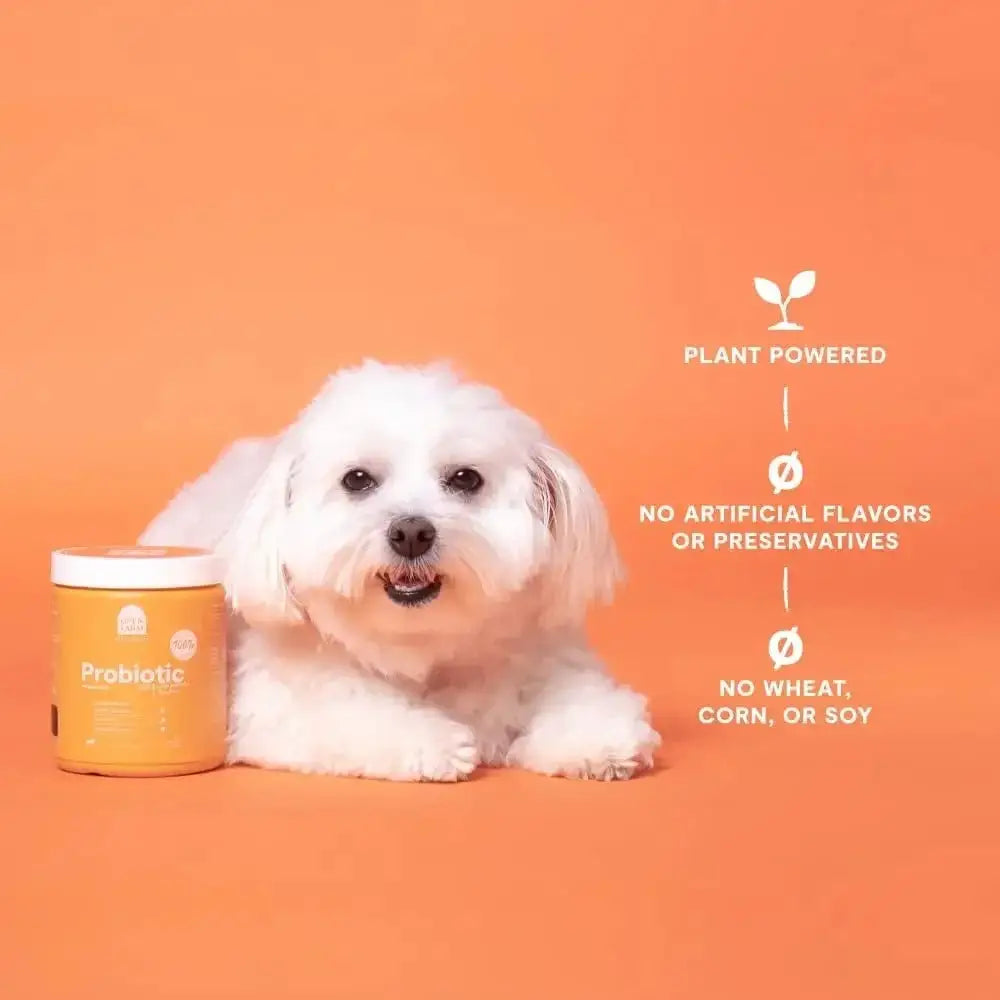 Open Farm Probiotic Chew Dog Supplement - Talis Us