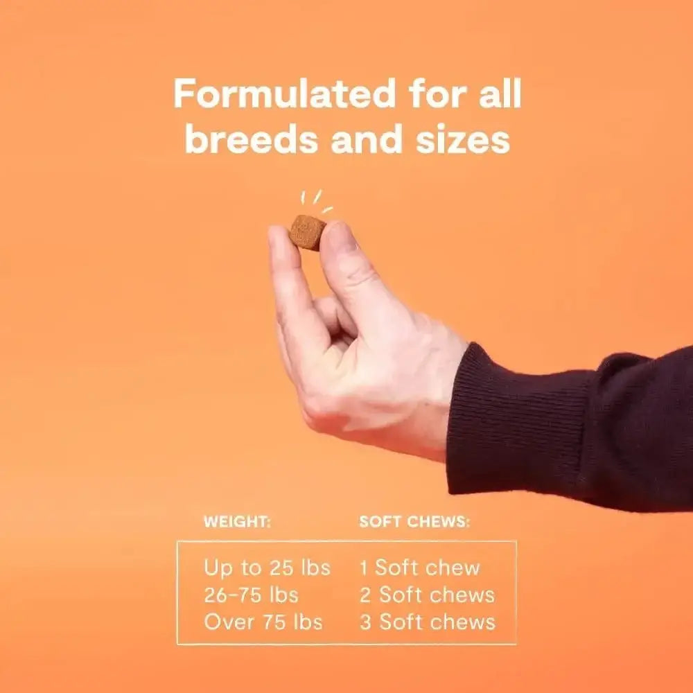 Open Farm Probiotic Chew Dog Supplement - Talis Us