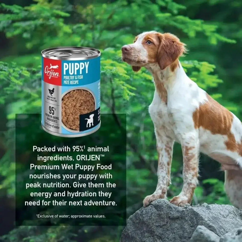 ORIJEN Puppy Recipe Poultry & Fish Pate Grain - Free Wet Dog Food - Talis Us